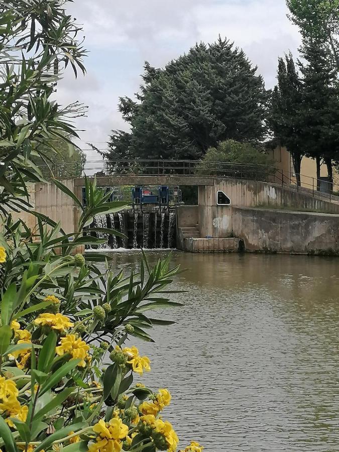Villa Sainte Marie Narbonne Kültér fotó