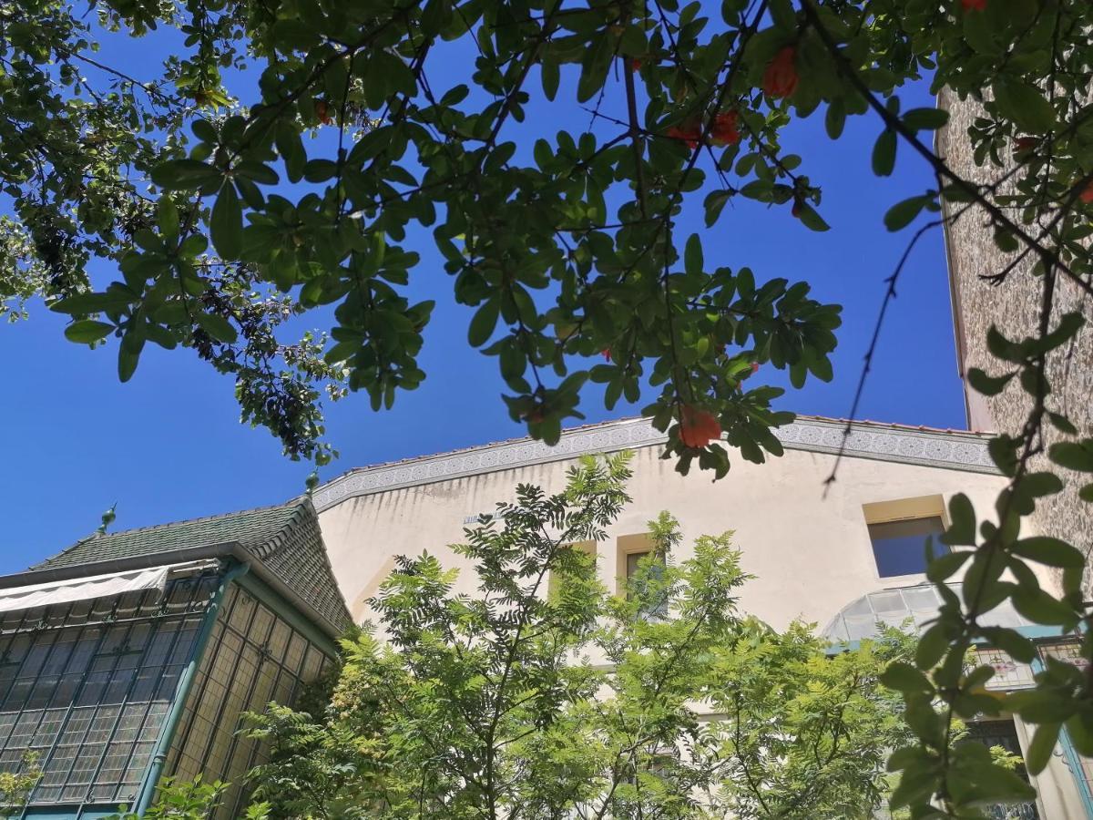 Villa Sainte Marie Narbonne Kültér fotó